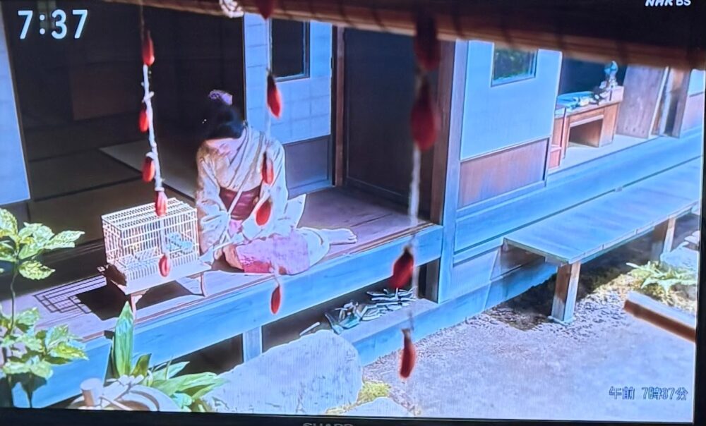 しなだれるトキ