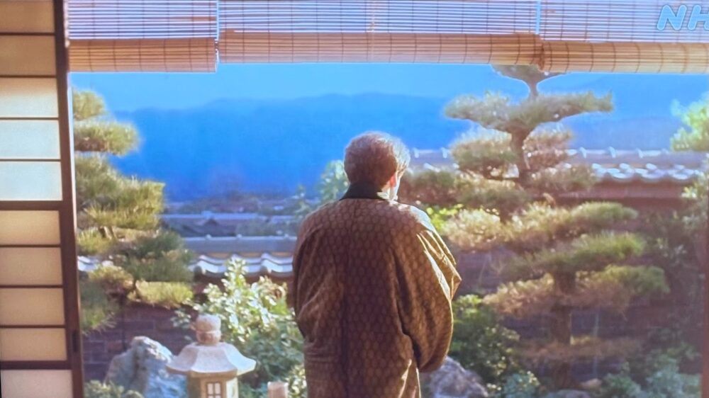 メジロ　チェア　逃がす